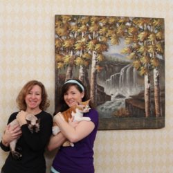 Star City/Central Carolina CFA Show – Roanoke, VA Jan. 28-29, 2017